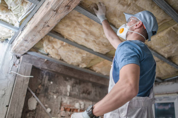 Best Attic Insulation Installation  in Wellsville, MO
